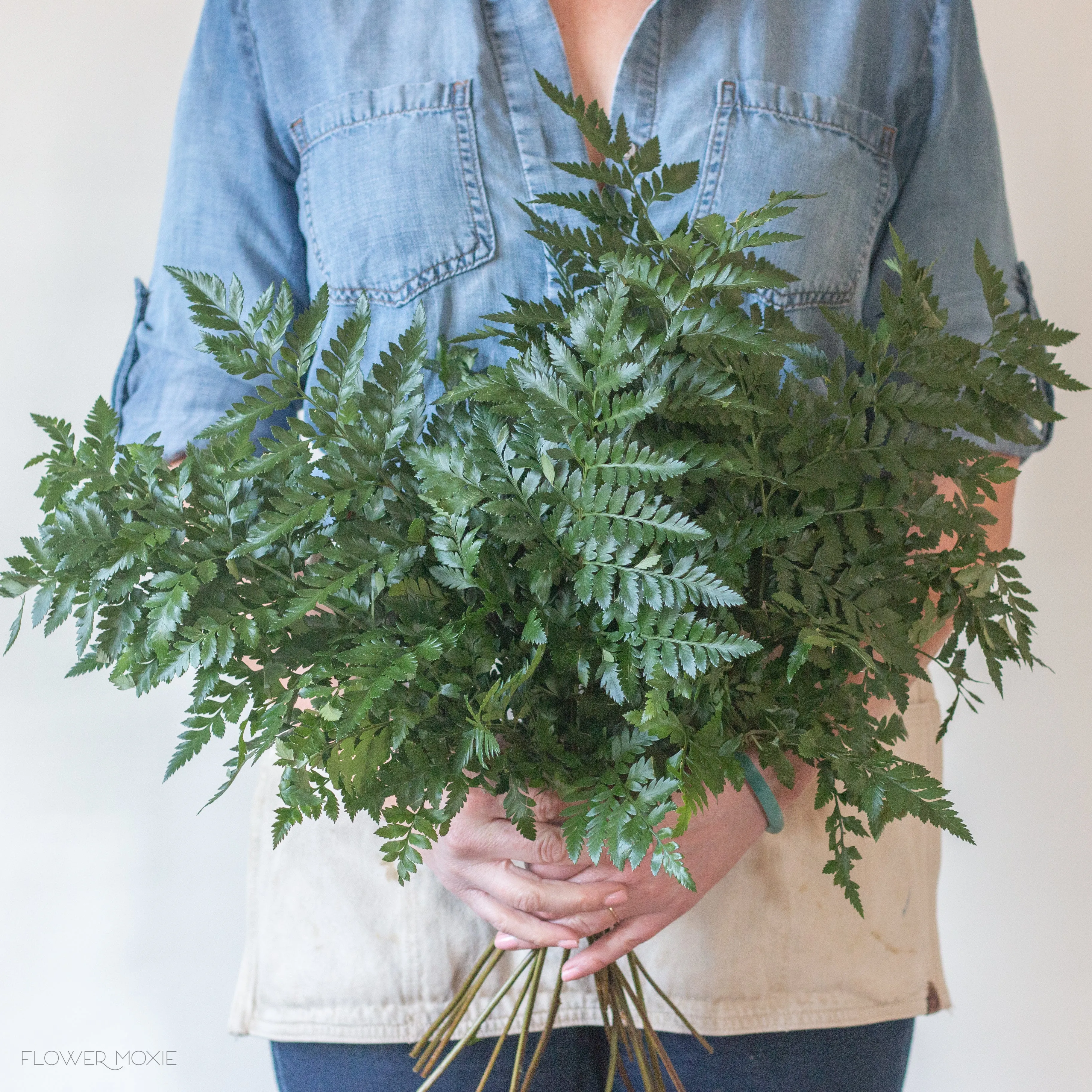 Leatherleaf Fern Greenery