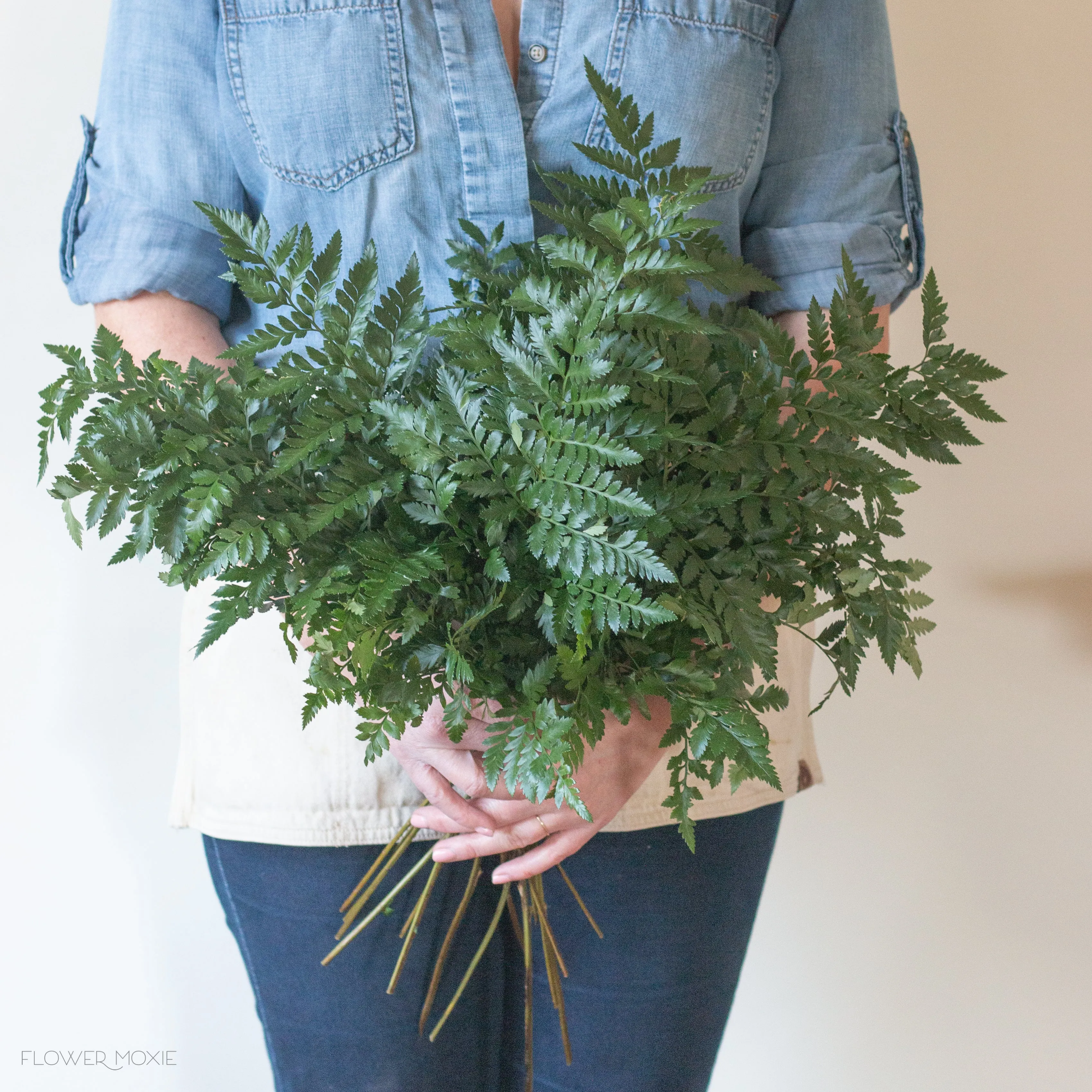 Leatherleaf Fern Greenery