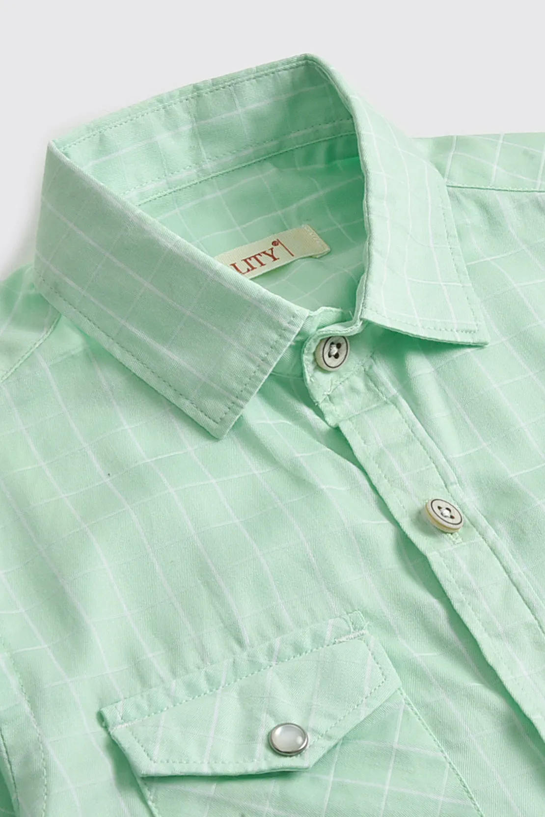 Light Green Checked Casual Shirt